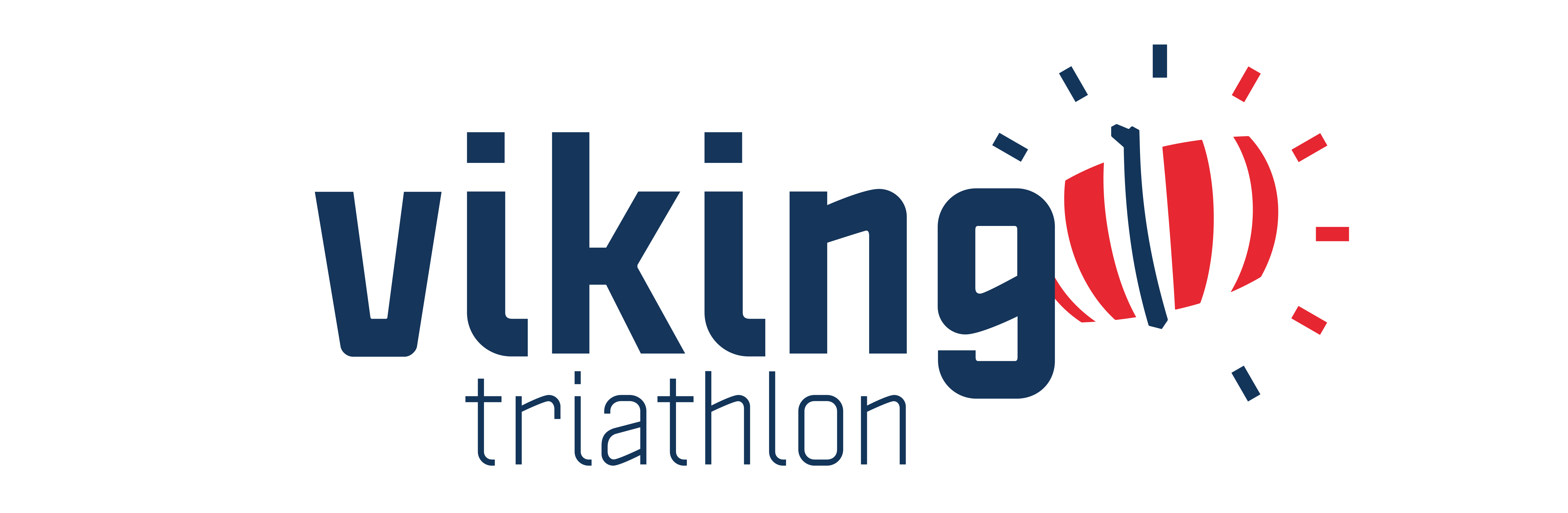 Logo-Einbinung viking triathlon